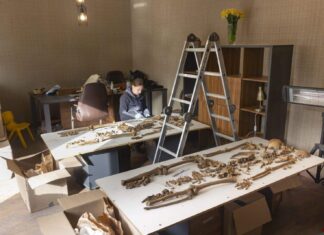 Polscy naukowcy badali w Gruzji szczątki ofiar tzw. Wielkiego Terroru z lat 1937-38 Naukowcy badają szczątki ofiar tzw. Wielkiego Terroru