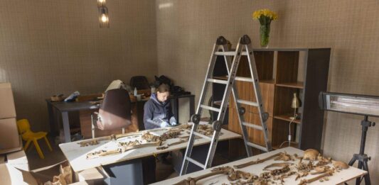 Polscy naukowcy badali w Gruzji szczątki ofiar tzw. Wielkiego Terroru z lat 1937-38 Naukowcy badają szczątki ofiar tzw. Wielkiego Terroru