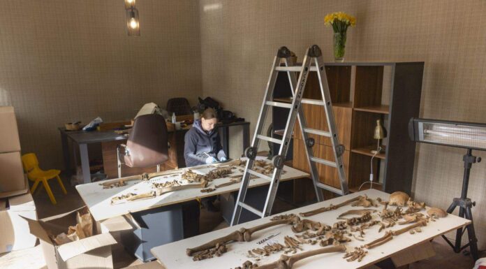 Polscy naukowcy badali w Gruzji szczątki ofiar tzw. Wielkiego Terroru z lat 1937-38 Naukowcy badają szczątki ofiar tzw. Wielkiego Terroru