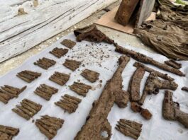 Stara kaseta ujawniła tajemnicę AK i ukrytego w lesie depozytu broni! (GALERIA +FILM) Broń i amunicja z ukrytego przez Armię Krajową depozytu