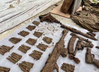 Stara kaseta ujawniła tajemnicę AK i ukrytego w lesie depozytu broni! (GALERIA +FILM) Broń i amunicja z ukrytego przez Armię Krajową depozytu