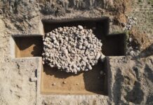 Pierwsze od ponad 30 lat wykopy archeologiczne na Grunwaldzie! (GALERIA) Wykopaliska archeologiczne pod Grunwaldem