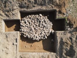 Pierwsze od ponad 30 lat wykopy archeologiczne na Grunwaldzie! (GALERIA) Wykopaliska archeologiczne pod Grunwaldem