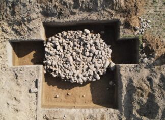 Pierwsze od ponad 30 lat wykopy archeologiczne na Grunwaldzie! (GALERIA) Wykopaliska archeologiczne pod Grunwaldem