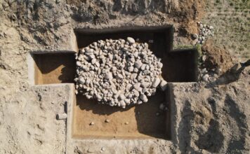 Pierwsze od ponad 30 lat wykopy archeologiczne na Grunwaldzie! (GALERIA) Wykopaliska archeologiczne pod Grunwaldem