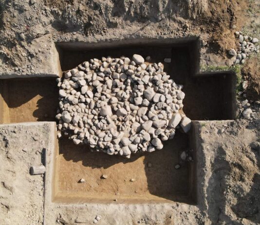 Pierwsze od ponad 30 lat wykopy archeologiczne na Grunwaldzie! (GALERIA) Wykopaliska archeologiczne pod Grunwaldem