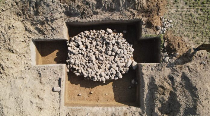 Pierwsze od ponad 30 lat wykopy archeologiczne na Grunwaldzie! (GALERIA) Wykopaliska archeologiczne pod Grunwaldem