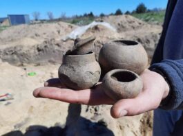 Archeologiczne pikniki w całej Polsce! Od piątku do niedzieli 17-19 czerwca Naczynia ceramiczne pochodzące z badań archeologicznych