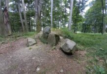 Towarzystwo Thule i okultystyczne miejsce z runami na głazach pod Kędzierzynem (GALERIA) Kędzierzyn-Koźle i głazy z runami w lesie