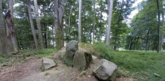 Towarzystwo Thule i okultystyczne miejsce z runami na głazach pod Kędzierzynem (GALERIA) Kędzierzyn-Koźle i głazy z runami w lesie