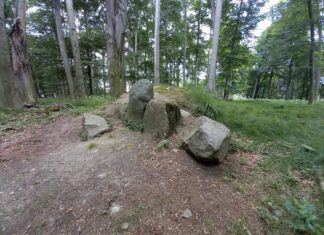 Towarzystwo Thule i okultystyczne miejsce z runami na głazach pod Kędzierzynem (GALERIA) Kędzierzyn-Koźle i głazy z runami w lesie