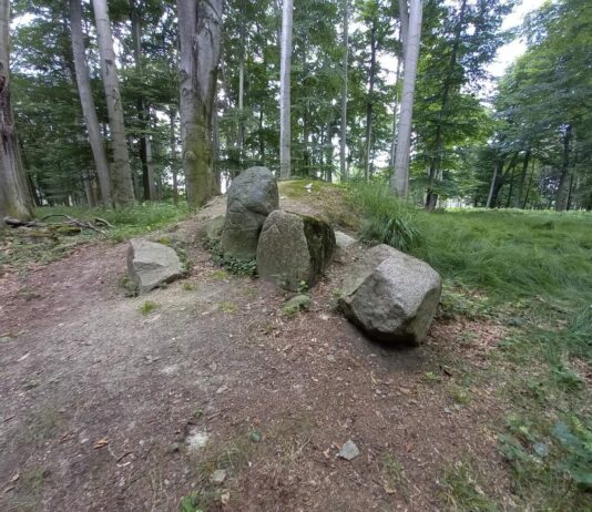 Towarzystwo Thule i okultystyczne miejsce z runami na głazach pod Kędzierzynem (GALERIA) Kędzierzyn-Koźle i głazy z runami w lesie