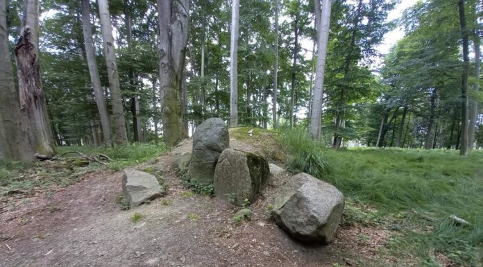 Towarzystwo Thule i okultystyczne miejsce z runami na głazach pod Kędzierzynem (GALERIA) Kędzierzyn-Koźle i głazy z runami w lesie
