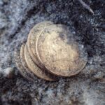 Złote monety, obrączka i nieśmiertelniki odkryte przy ekshumacji niemieckich żołnierzy (GALERIA) Złote monety odkryte przy szczątkach żołnierza