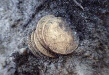 Złote monety, obrączka i nieśmiertelniki odkryte przy ekshumacji niemieckich żołnierzy (GALERIA) Złote monety odkryte przy szczątkach żołnierza