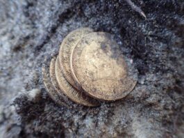 Złote monety, obrączka i nieśmiertelniki odkryte przy ekshumacji niemieckich żołnierzy (GALERIA) Złote monety odkryte przy szczątkach żołnierza