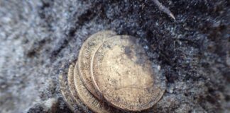 Złote monety, obrączka i nieśmiertelniki odkryte przy ekshumacji niemieckich żołnierzy (GALERIA) Złote monety odkryte przy szczątkach żołnierza