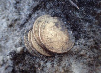 Złote monety, obrączka i nieśmiertelniki odkryte przy ekshumacji niemieckich żołnierzy (GALERIA) Złote monety odkryte przy szczątkach żołnierza