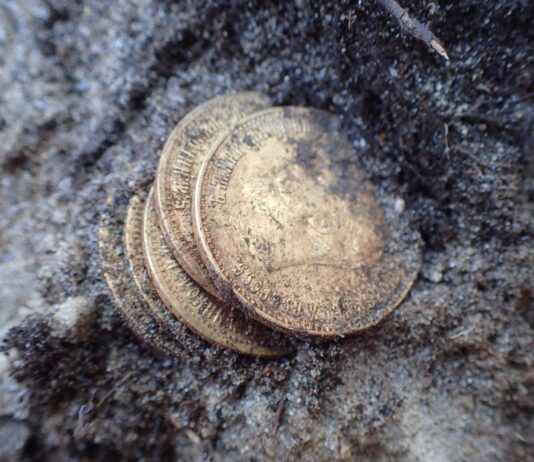 Złote monety, obrączka i nieśmiertelniki odkryte przy ekshumacji niemieckich żołnierzy (GALERIA) Złote monety odkryte przy szczątkach żołnierza