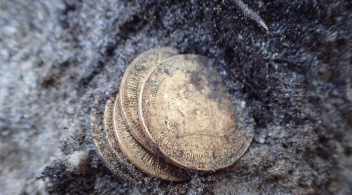 Złote monety, obrączka i nieśmiertelniki odkryte przy ekshumacji niemieckich żołnierzy (GALERIA) Złote monety odkryte przy szczątkach żołnierza