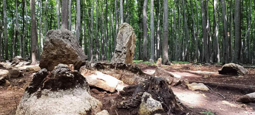 Megality na Bukowej Górze