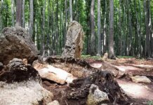 Unikalne pradawne megality na Bukowej Górze w woj. śląskim (GALERIA) Megality na Bukowej Górze