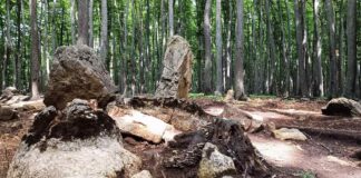 Unikalne pradawne megality na Bukowej Górze w woj. śląskim (GALERIA) Megality na Bukowej Górze