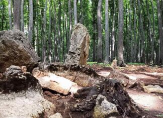 Unikalne pradawne megality na Bukowej Górze w woj. śląskim (GALERIA) Megality na Bukowej Górze