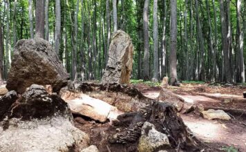 Unikalne pradawne megality na Bukowej Górze w woj. śląskim (GALERIA) Megality na Bukowej Górze