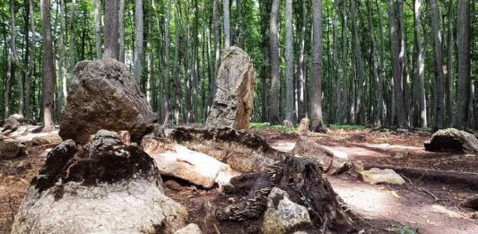 Unikalne pradawne megality na Bukowej Górze w woj. śląskim (GALERIA) Megality na Bukowej Górze