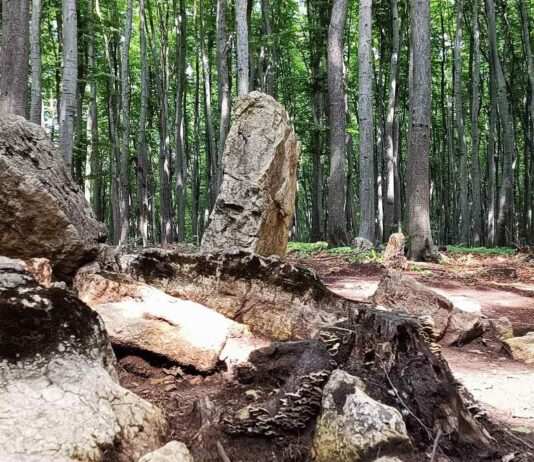 Unikalne pradawne megality na Bukowej Górze w woj. śląskim (GALERIA) Megality na Bukowej Górze