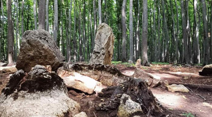 Unikalne pradawne megality na Bukowej Górze w woj. śląskim (GALERIA) Megality na Bukowej Górze