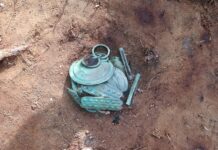 Wyjątkowy skarb ozdób z epoki brązu odkryty w Borach Tucholskich (GALERIA) Skarb ozdób z epoki brązu