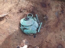 Wyjątkowy skarb ozdób z epoki brązu odkryty w Borach Tucholskich (GALERIA) Skarb ozdób z epoki brązu