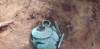 Wyjątkowy skarb ozdób z epoki brązu odkryty w Borach Tucholskich (GALERIA) Skarb ozdób z epoki brązu