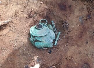 Wyjątkowy skarb ozdób z epoki brązu odkryty w Borach Tucholskich (GALERIA) Skarb ozdób z epoki brązu