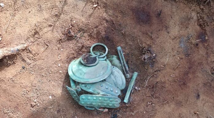 Wyjątkowy skarb ozdób z epoki brązu odkryty w Borach Tucholskich (GALERIA) Skarb ozdób z epoki brązu