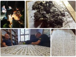 Znaleźli w lesie 1500 średniowiecznych monet – archeolodzy pod wrażeniem! (GALERIA +FILM) Skarb srebrnych monet odkryty wykrywaczem metali