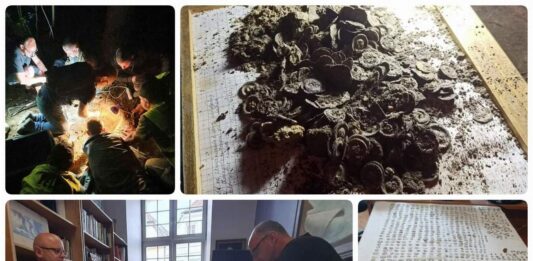 Znaleźli w lesie 1500 średniowiecznych monet – archeolodzy pod wrażeniem! (GALERIA +FILM) Skarb srebrnych monet odkryty wykrywaczem metali