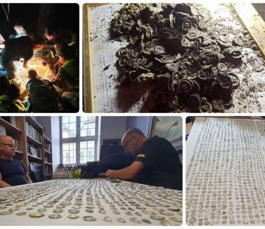 Znaleźli w lesie 1500 średniowiecznych monet – archeolodzy pod wrażeniem! (GALERIA +FILM) Skarb srebrnych monet odkryty wykrywaczem metali