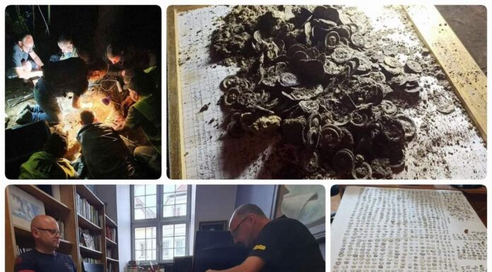 Znaleźli w lesie 1500 średniowiecznych monet – archeolodzy pod wrażeniem! (GALERIA +FILM) Skarb srebrnych monet odkryty wykrywaczem metali