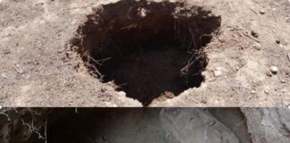 Dziura a w niej… minojski grobowiec sprzed ok. 3400 lat! Zapadlisko z ukrytym grobowcem z epoki brązu