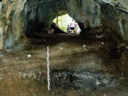 Ślady myśliwych sprzed kilkunastu tysięcy lat odkryto w tatrzańskiej jaskini Zdjęcie wykopu w jaskini w którym znaleziono pozostałości po ognisku