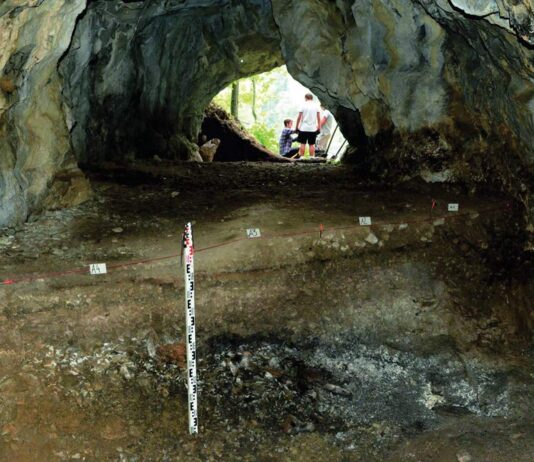 Ślady myśliwych sprzed kilkunastu tysięcy lat odkryto w tatrzańskiej jaskini Zdjęcie wykopu w jaskini w którym znaleziono pozostałości po ognisku