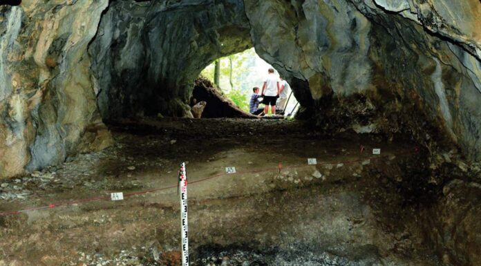 Ślady myśliwych sprzed kilkunastu tysięcy lat odkryto w tatrzańskiej jaskini Zdjęcie wykopu w jaskini w którym znaleziono pozostałości po ognisku