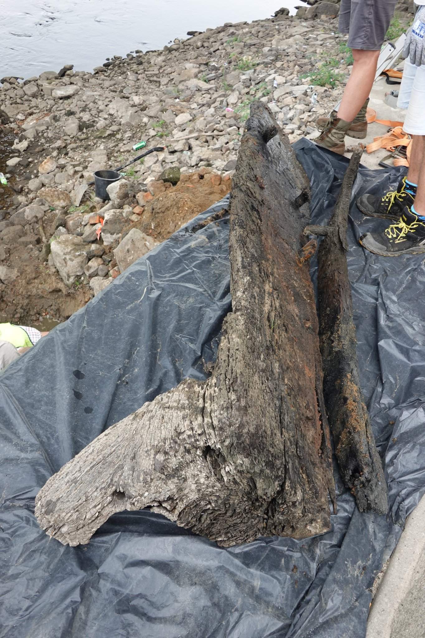 Toruń. Niski stan Wisły odsłonił relikty szkuty z XV wieku! (GALERIA)