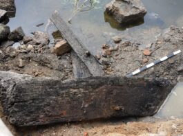 Toruń. Niski stan Wisły odsłonił relikty szkuty z XV wieku! (GALERIA) Szkuta odkryta na brzegu Wisły w Toruniu