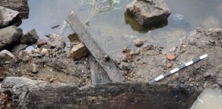 Toruń. Niski stan Wisły odsłonił relikty szkuty z XV wieku! (GALERIA) Szkuta odkryta na brzegu Wisły w Toruniu