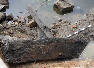 Toruń. Niski stan Wisły odsłonił relikty szkuty z XV wieku! (GALERIA) Szkuta odkryta na brzegu Wisły w Toruniu