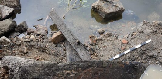 Toruń. Niski stan Wisły odsłonił relikty szkuty z XV wieku! (GALERIA) Szkuta odkryta na brzegu Wisły w Toruniu